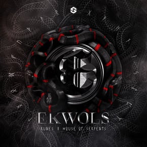 Runes / House Of Serpents by Ekwols Cover Art