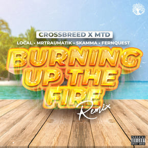 Burning Up The Fire (Remix) by Mr Traumatik, CrossBreed & MTD Cover Art