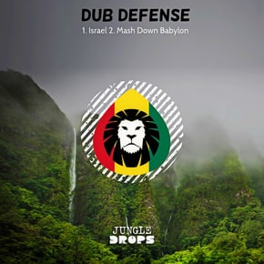 Jungle Drops 4 by Dub Defense Cover Art