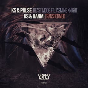 Beast Mode/ Transformed by Hanm Cover Art