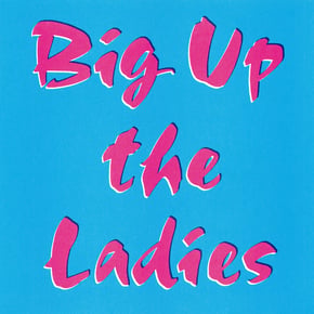 Big Up The Ladies by Fracture Cover Art