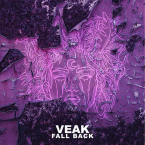 Fall Back by Salaryman & Veak Cover Art