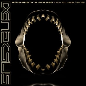 Bullshark / Heaven by Vici Cover Art