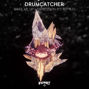 Wake Me Up / Expression by Drumcatcher Cover Art