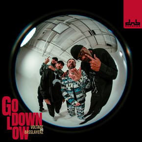 Go Down Low by Voltage & Basslayerz Cover Art