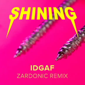 IDGAF (Zardonic Remix) by Zardonic & Shining Cover Art