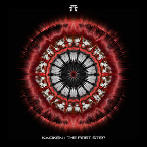 The First Step by Fearful Cover Art