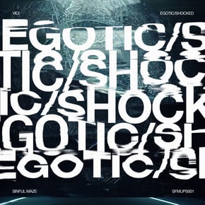 Egotic / Shocked by Vici Cover Art