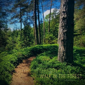 Walk in the Forest by Serapion Cover Art
