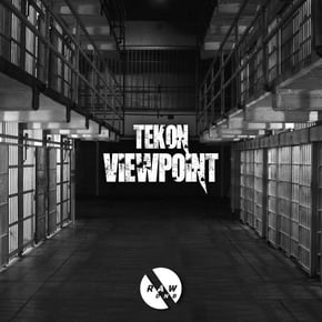 Viewpoint by Tekon Cover Art