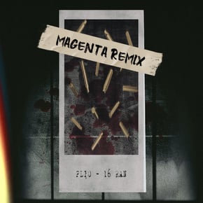 16 RAN by Magenta Cover Art