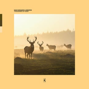 Thousands Of Deer by Dan Guidance Cover Art