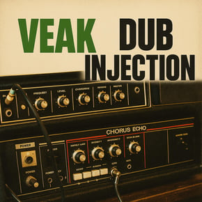 Dub Injection by Veak Cover Art