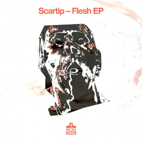 Flesh by Scartip Cover Art