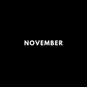 November Lofi (Radio Edit) by Muffler Cover Art