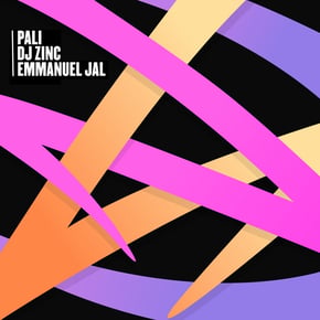 Pali (Ravey Mix) by DJ Zinc Cover Art