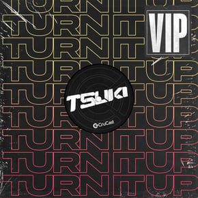 Turn It Up VIP by Tsuki Cover Art
