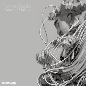 Pulse Of Nature by Noise Souls Cover Art