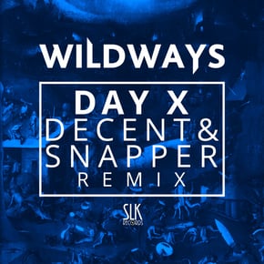 Day X (Decent & Snapper Remix) by Despersion & Decent & Snapper Cover Art