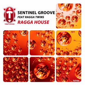 Ragga House by Dr Meaker, Sentinel Groove & Ragga Twins Cover Art