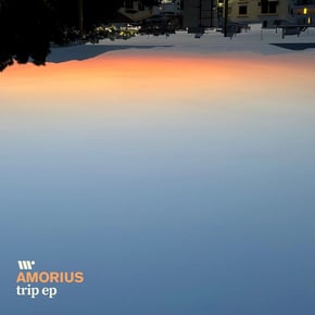 Trip by Amorius Cover Art