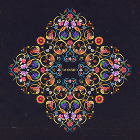 INCOGNITO by Mitekiss Cover Art