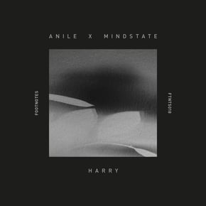 Harry by Anile & Mindstate Cover Art