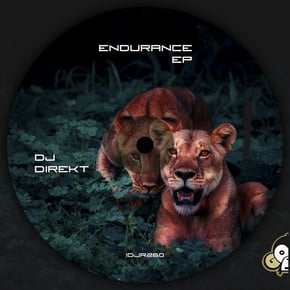 Endurance EP by DJ Direkt Cover Art