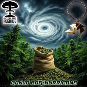Ganja Bag / Hurricane by Joy Mobility Cover Art