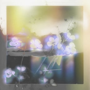 Mother by gyrofield Cover Art