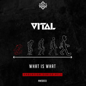 What is What by Vital Cover Art