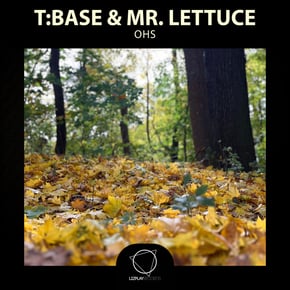 OHS by T:Base Cover Art