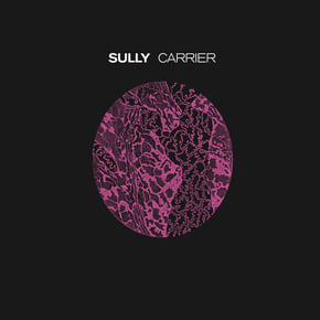 Carrier by Sully Cover Art
