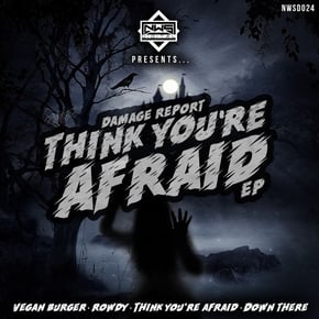 Think You're Afraid by Damage Report Cover Art