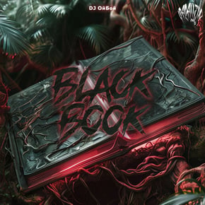Black Book by Dj ОйБой Cover Art