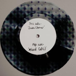 Snake Charmer / Missed Call(s) by gyrofield Cover Art