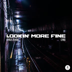 Lookin’ More Fine by Lynx Cover Art