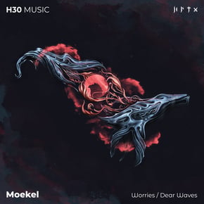 Worries/Dear Waves by Moekel Cover Art