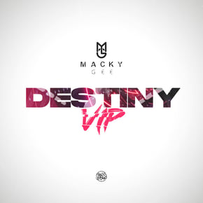 Destiny (VIP) by Macky Gee Cover Art
