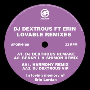 Lovable Remixes by DJ Dextrous Cover Art