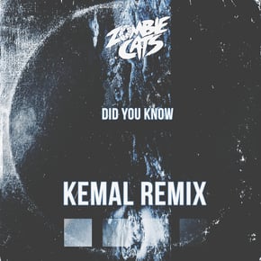 Did You Know (Kemal Remix) by Zombie Cats Cover Art