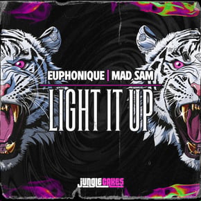 Light It Up by Euphonique Cover Art