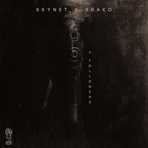0 Followers by Skynet Cover Art