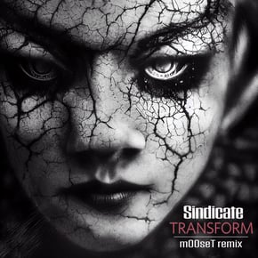 Transform (m00seT Remix) by Sindicate Cover Art