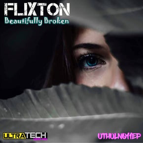 Beautifully Broken by Flixton Cover Art