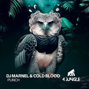 Punch by DJ Marnel Cover Art