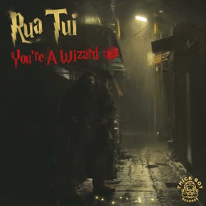 You're A Wizard by Rua Tui Cover Art