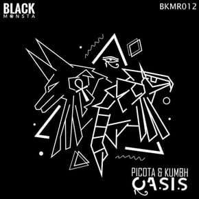 Oasis by Picota Cover Art