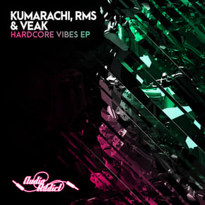 Hardcore Vibes by Kumarachi, RMS & Veak Cover Art
