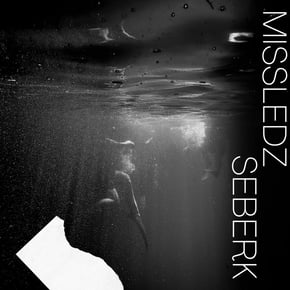 Seberk by missledz Cover Art